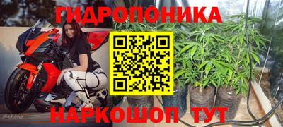 Альфа ПВП Свободный