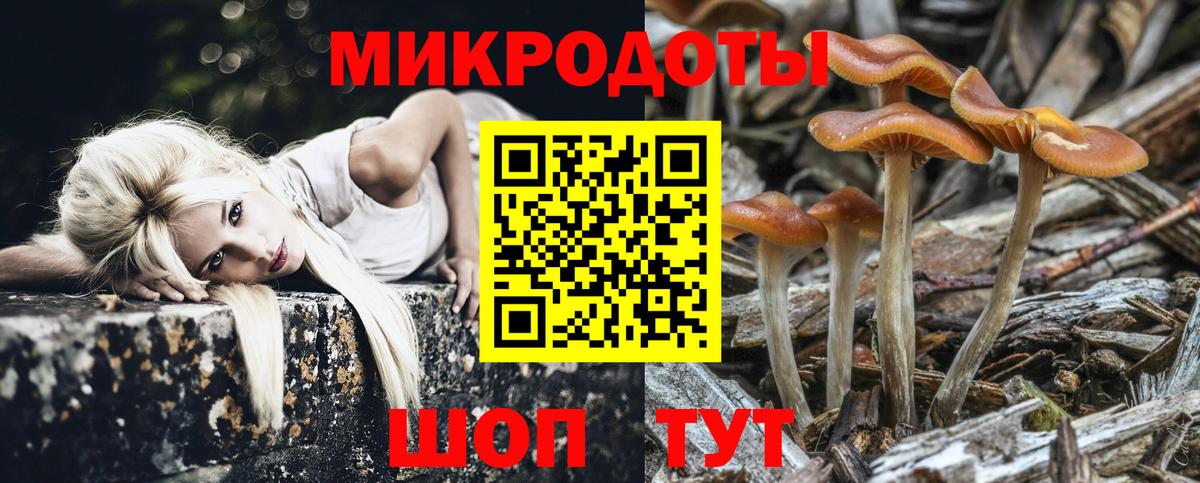 Псилоцибиновые грибы Magic Shrooms  Вход с VPN  что такое   Галлюциногенные грибы Psilocybe  Новоалександровск 